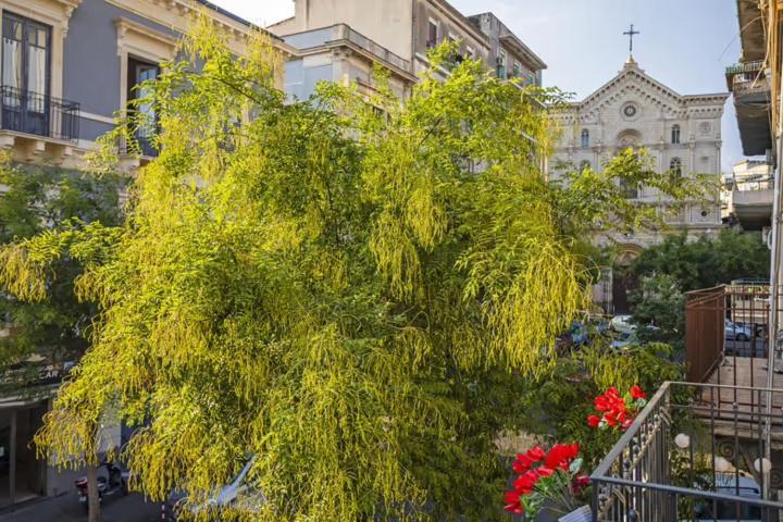 L'Angelo Di Casa Mia Apartment Catania Exterior foto